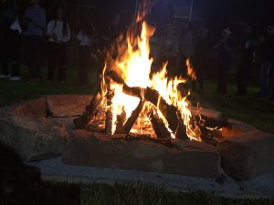 Minillar-Moncada,-2017-Pureza-de-María