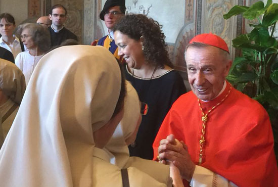 Consistorio de cardenales, 2018, Pureza de María