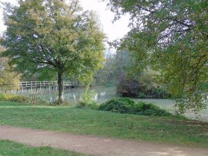 Taize-2018,-Pureza-de-María