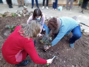 Coaching educativo Valldemossa